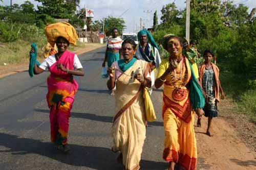 2005 Kataragama Pada Yatra photo no. 04: Dancing in 'No Man's Land
' between Govt and LTTE controlled areas