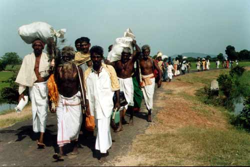 Pada Yatra pilgrims' party grows