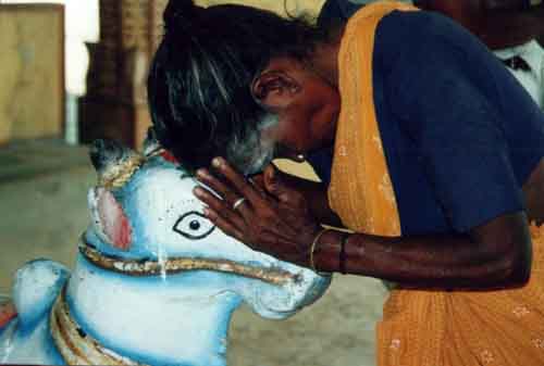 Devotee at Selva Sannidhi Murugan Kovil